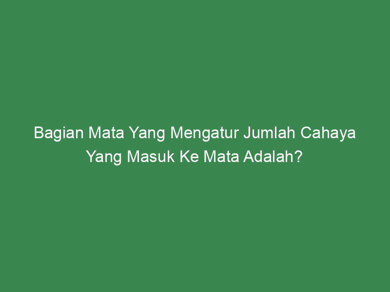 Bagian Mata Yang Mengatur Jumlah Cahaya Yang Masuk Ke Mata Adalah